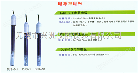 DJS电导率电极