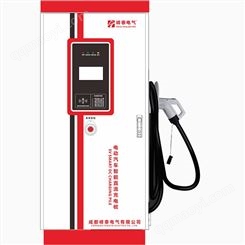 落地式80KW 双枪 新能源直流立式电动汽车充电桩厂峰泰电气