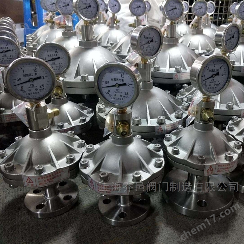 不锈钢膜片式脉冲阻尼器 不锈钢膜片式脉冲阻尼器