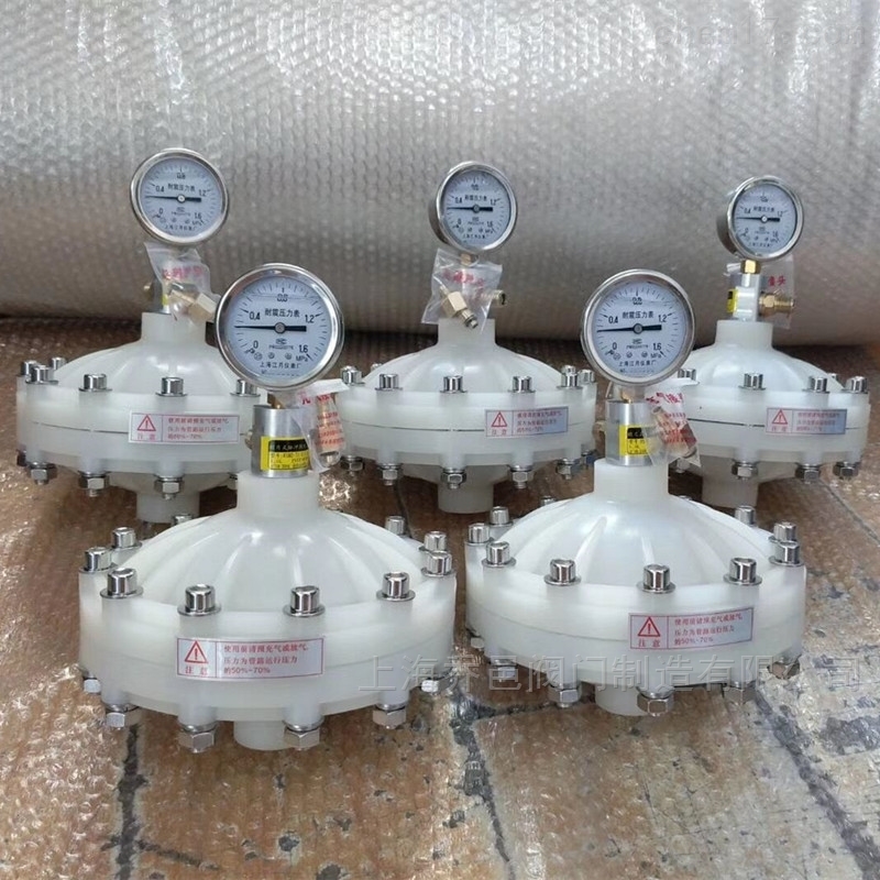 PVDF膜片式脉冲阻尼器 PVDF膜片式脉冲阻尼器